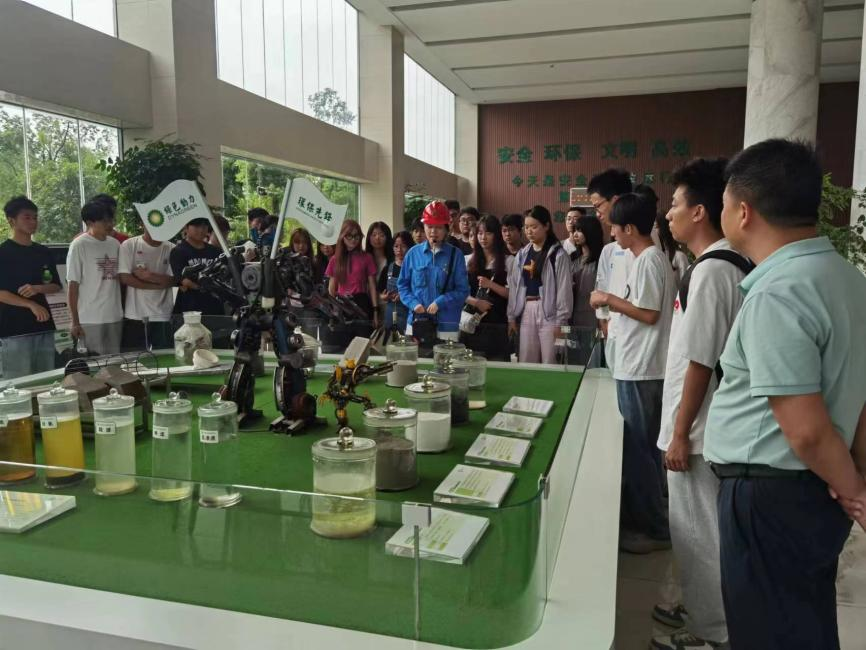 yp街机·电子游戏(中国)官方网站