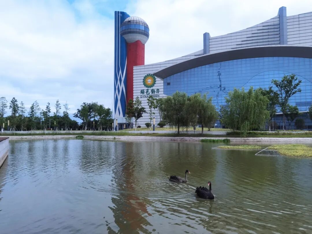 yp街机·电子游戏(中国)官方网站